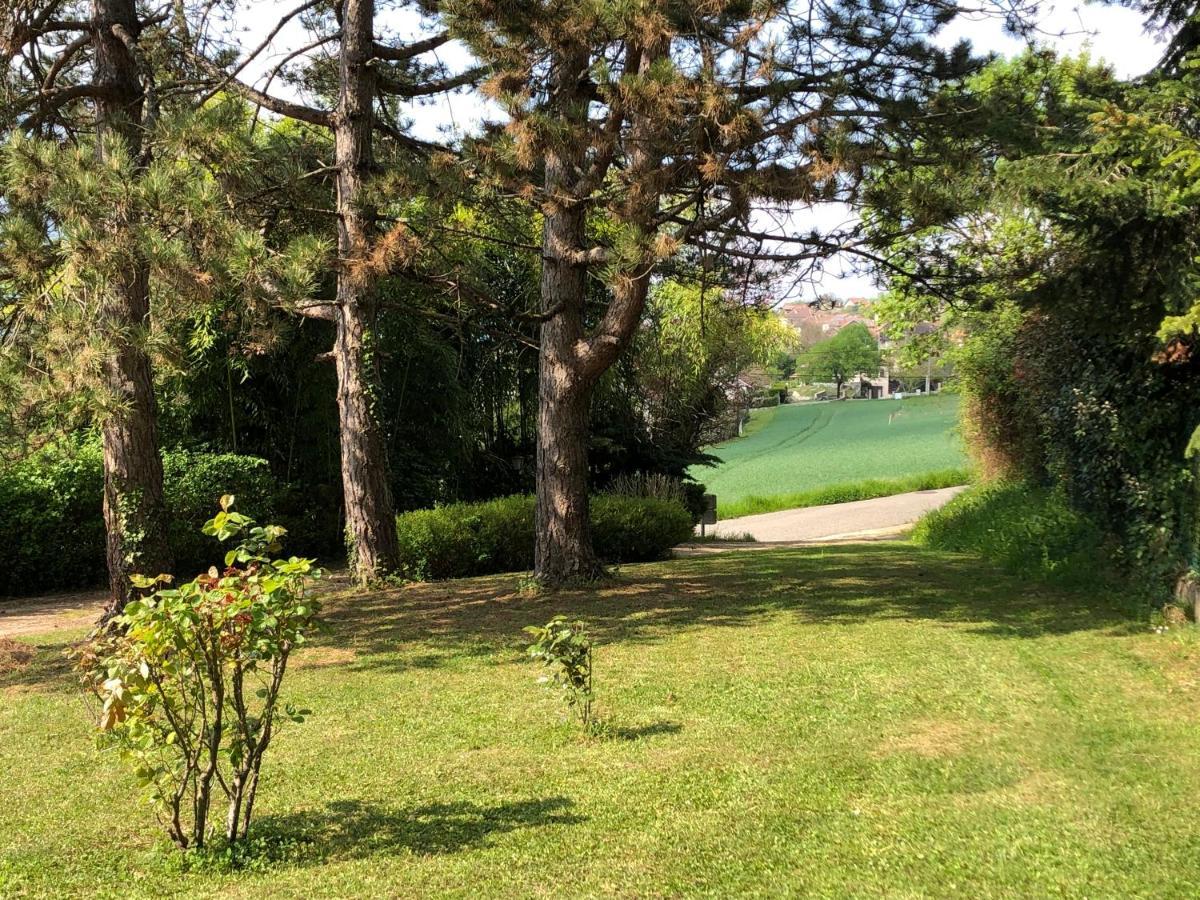 Villa Maison De Lilie Chindrieux Exterior foto